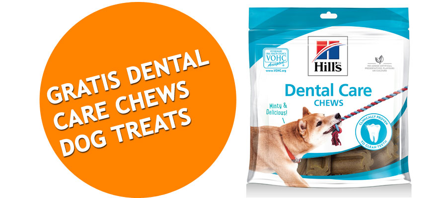 Hill's Dental Care Chews Dog Treats