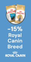 Royal Canin Dachshund Adult hondenvoer 1.5kg