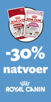 Royal Canin Mini natvoer voor puppy brokjes in saus zakjes 12x85gr