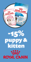 Royal Canin medium voer voor puppy 15kg