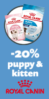 Royal Canin mother & babycat katten en kitten voer 2kg zak Royal Canin mother & babycat katten en kitten voer 2kg zak