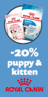 Royal Canin sterilised voer voor kitten 3,5kg