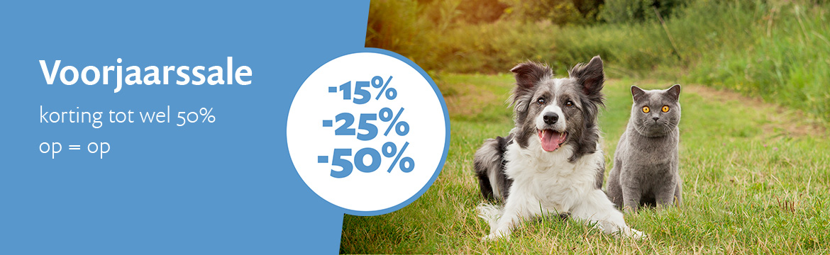 Voorjaarssale Voorjaarssale