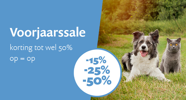 Voorjaarssale Voorjaarssale