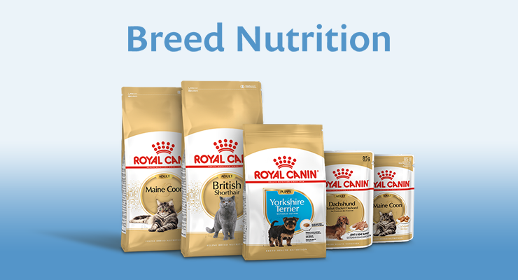 Breed Nutrition 
