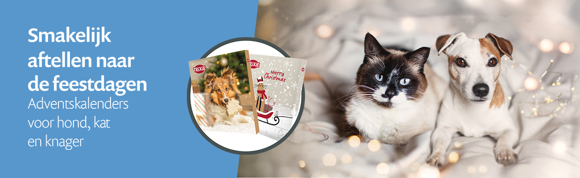 Adventskalenders 🎄 Adventskalenders 🎄