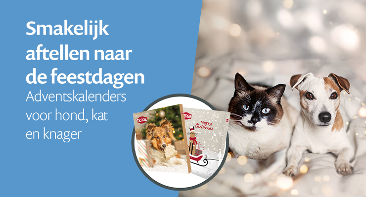 Adventskalenders 🎄 Adventskalenders 🎄