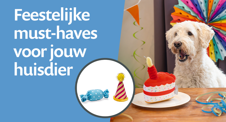 🎉 Favorieten 🎉