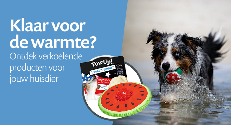 ☀️ Verkoeling ☀️ Verkoeling