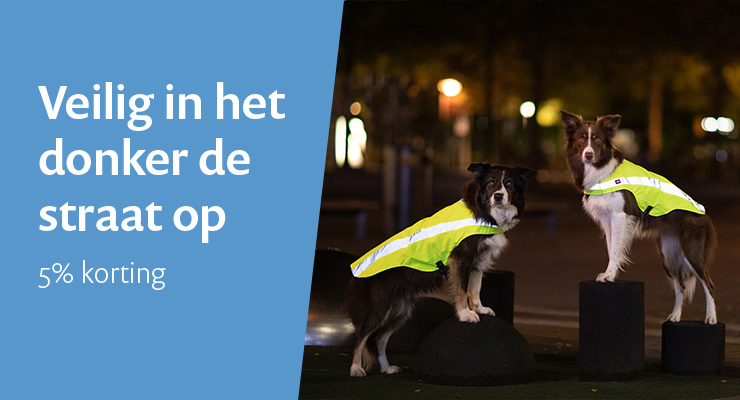 ACTIE: veiligheid