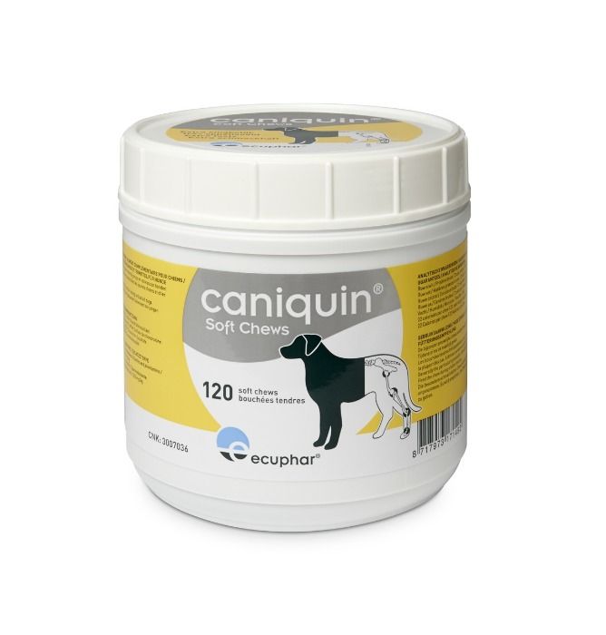 Caniquin Soft Chews Hond 120 st