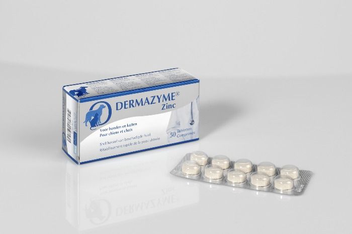 Dermazyme Zinc 50tabl