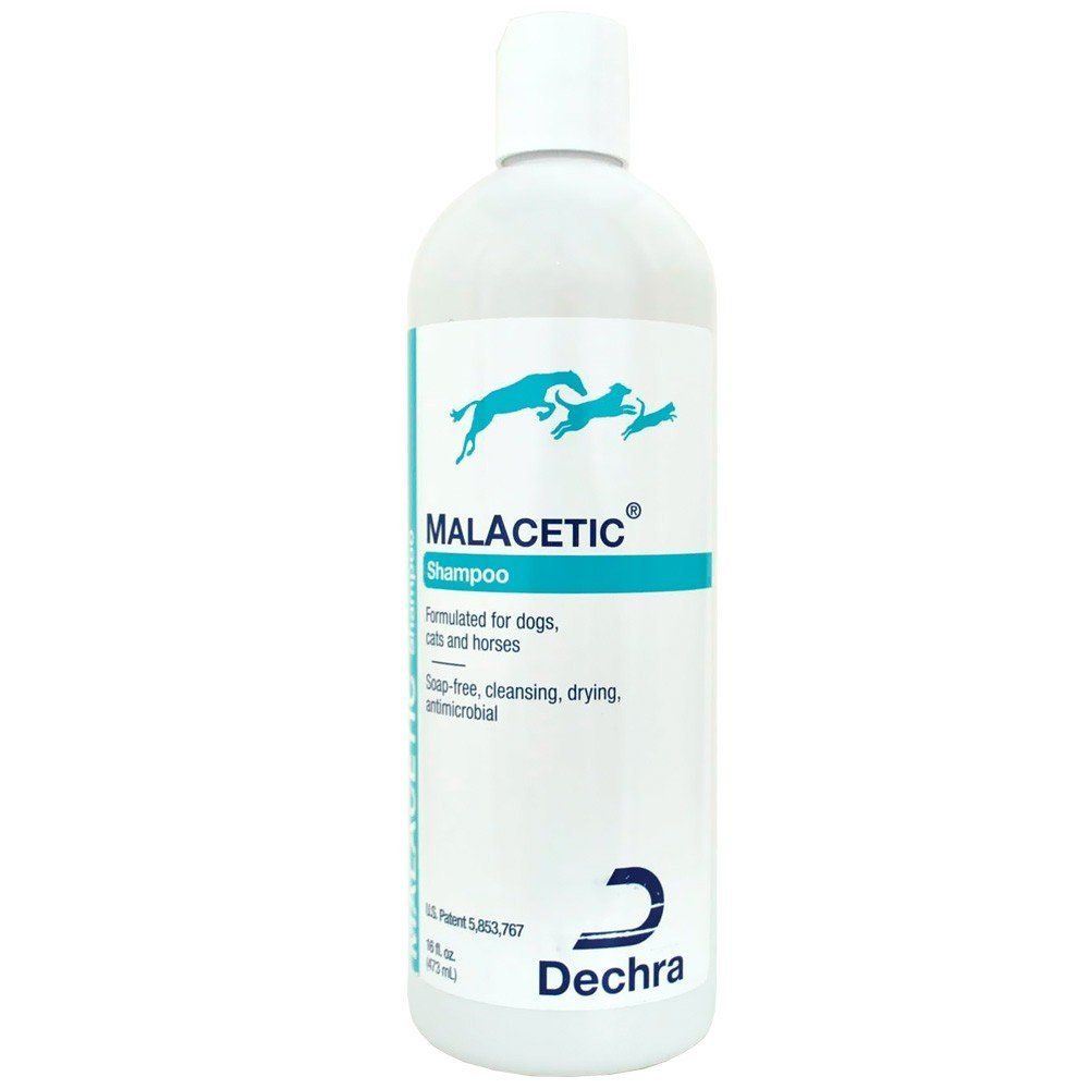 Malacetic Shampoo 230ml