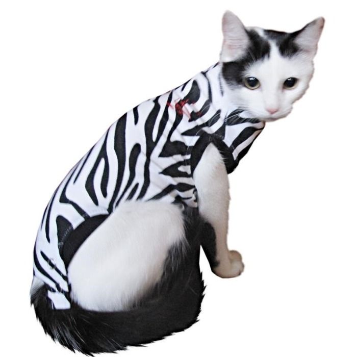 Medical Pet Shirt Kat Zebraprint XS