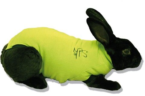 Medical Pet Shirt Konijngroen XS