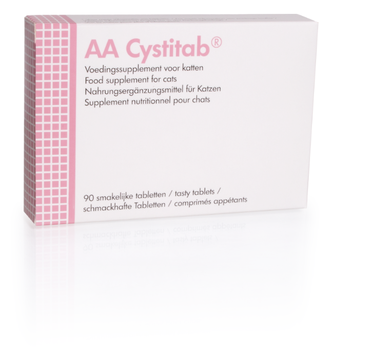 AA Cystitab - 3 x 30 tabletten