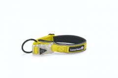 Beeztees safety gear Parinca Premium LED Nylon hondenhalsband