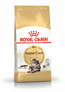Royal Canin Maine Coon Adult kattenvoer 10kg