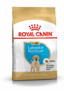 Royal Canin Labrador Retriever voer voor puppy 3kg