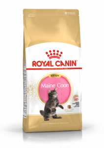 Royal Canin Maine Coon voer voor kitten 4kg