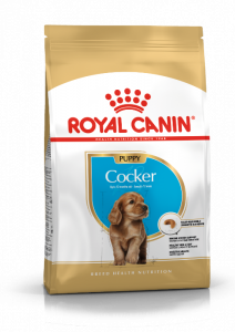 Royal Canin Cocker voer voor puppy 3kg