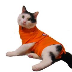 Medical Pet Shirt Kat Oranje