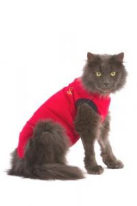 Medical Pet Shirt Kat Rood