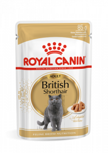 Royal Canin British Shorthair Adult natvoer kattenvoer 12x85g