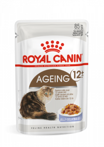 Royal Canin Ageing 12+ in Jelly natvoer kattenvoer 12x85gr