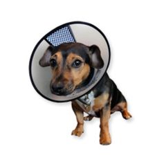 AA Easyfix-Collar beschermkraag hond