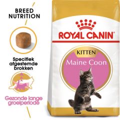 Royal Canin Maine Coon voer voor kitten