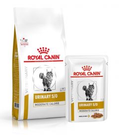 Royal Canin Urinary S/O Kat Moderate Calorie
