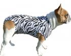 Medical Pet Shirt Hond Zebraprint