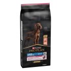 Purina Pro Plan hond Athletic