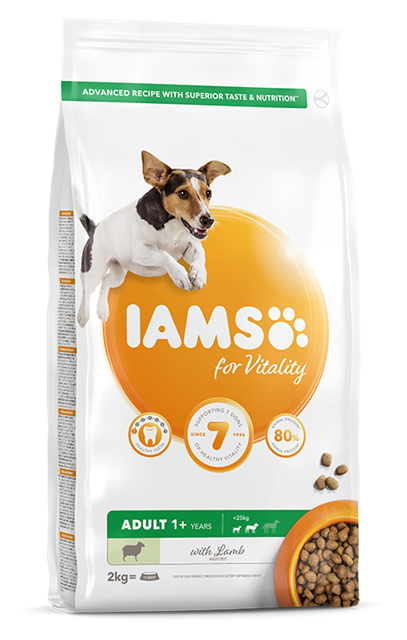 IAMS Adult Small/Medium Lamb Hond 5 kg