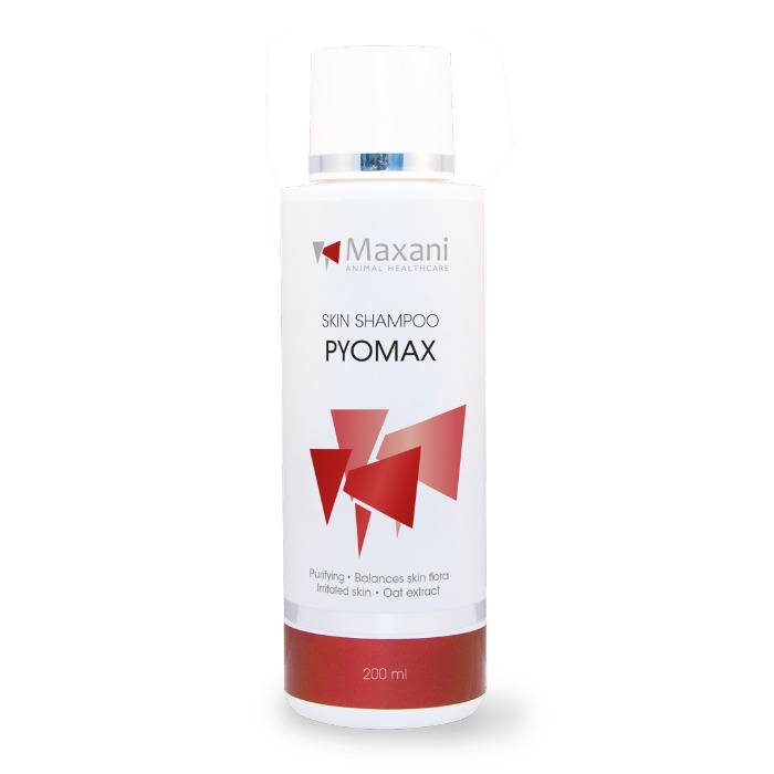 Maxani PyoMax Skin Shampoo