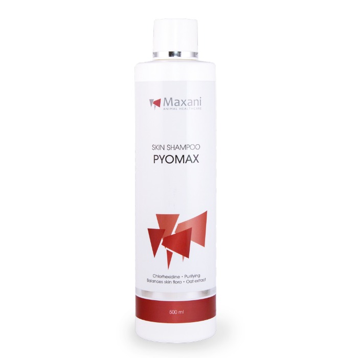 Maxani PyoMax Skin shampoo 500ml