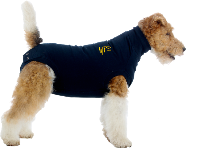 achterstalligheid spectrum Bestrating Medical Pet Shirt Hond Blauw XXS | VoorMijnDier