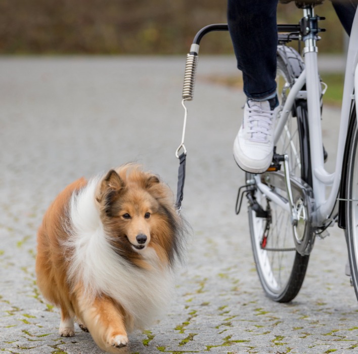 Trixie Honden Fiets-Set