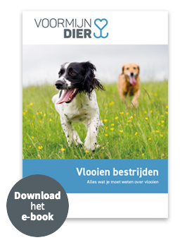 E-book Vlooien bestrijden bij je hond